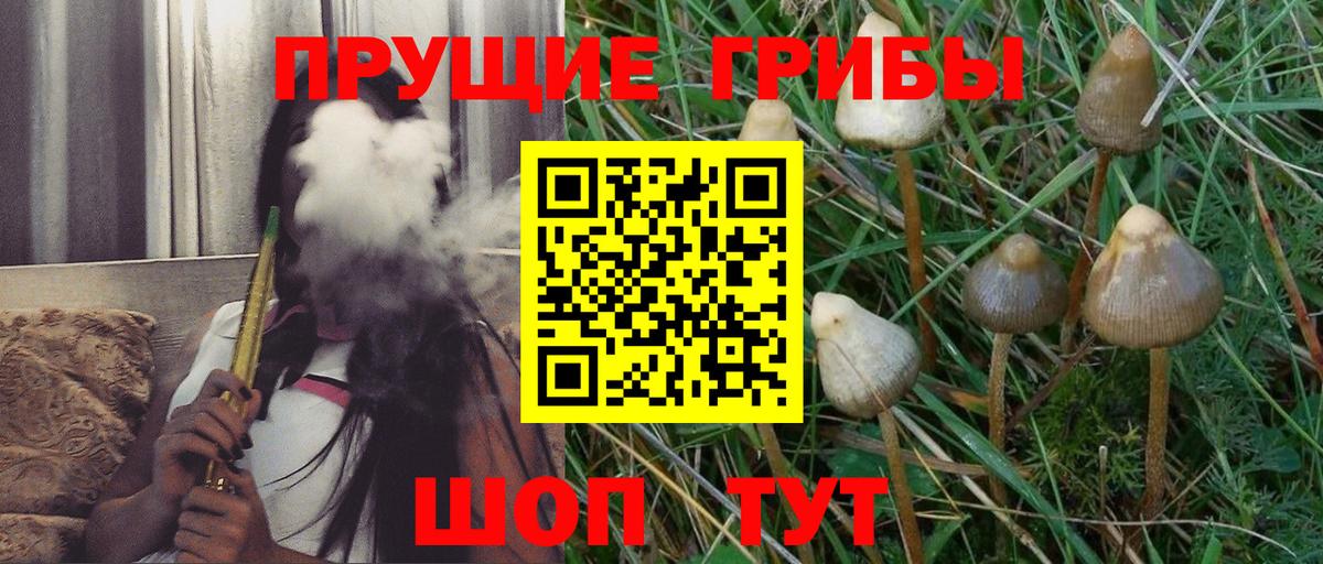 Псилоцибиновые грибы мухоморы Гурьевск