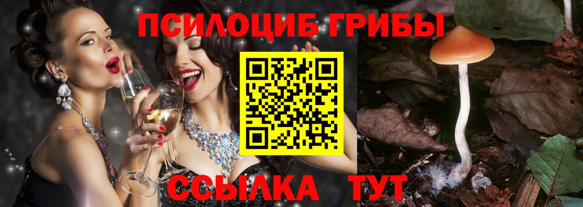 Псилоцибиновые грибы Psilocybe  Вход с VPN  Гурьевск 
